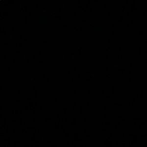 Meet your Posher, Jasmin